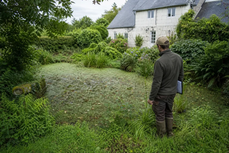 Replantation des berges d'une mare en Pays de la Loire
